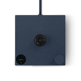 Fellow - Stagg EKG Electric Kettle