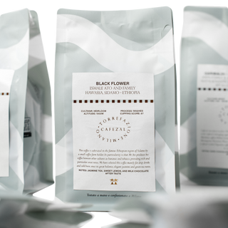 Coffee Bags Subscription